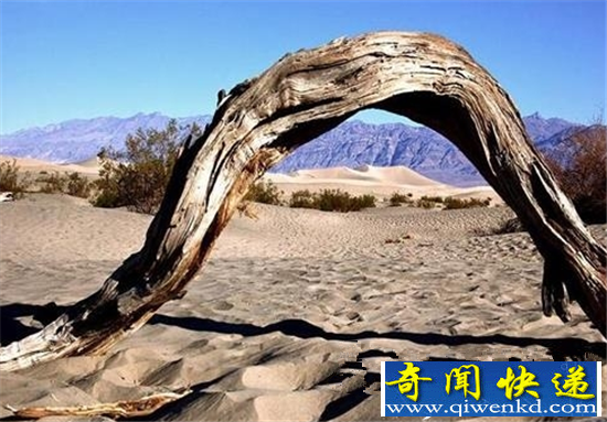 美国死人谷真实揭秘 究竟隐藏什么恐怖秘密
