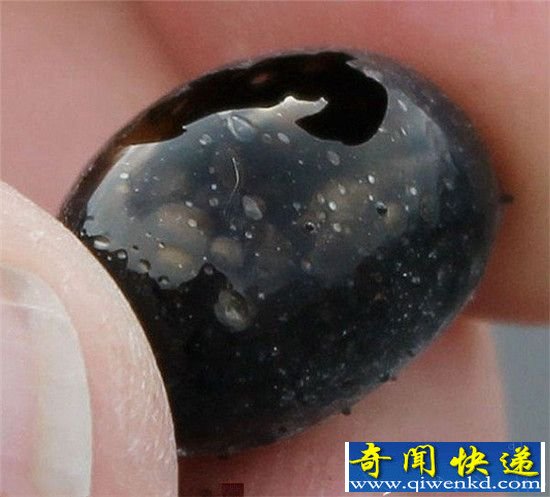火山之泪宝石:百年难遇的自然奇迹