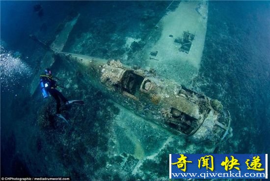 潜水员海底冒险 竟在南太平洋海底发现它