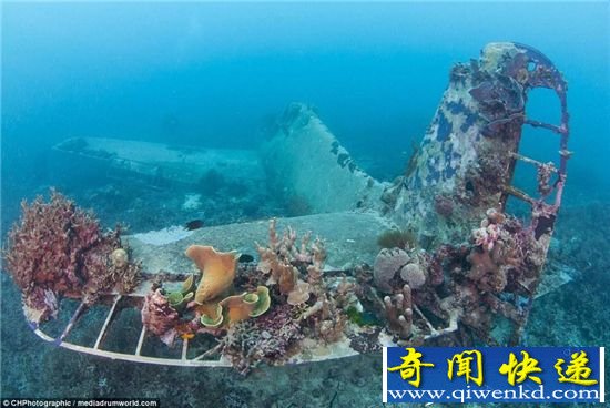 潜水员海底冒险 竟在南太平洋海底发现它