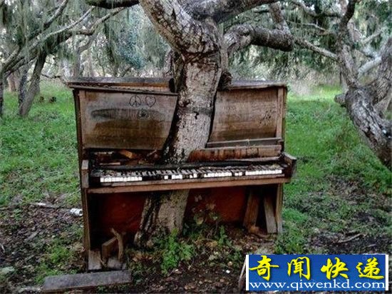 地球万年后竟是这样的?太不可思议了