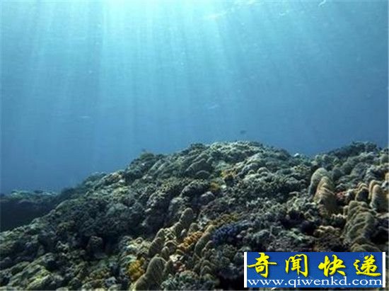 地球气候变化使海洋“缺氧” 产生更多“死亡地带”