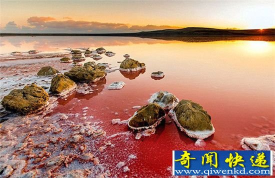 神奇的地理!镜头下的乌克兰盐湖美的令人窒息