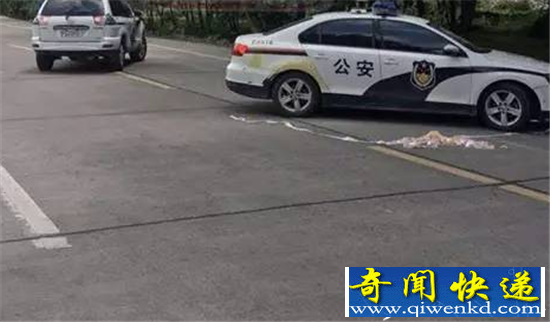 当街杀害一对母子凶手丧心病狂 母子冤死真相惊人
