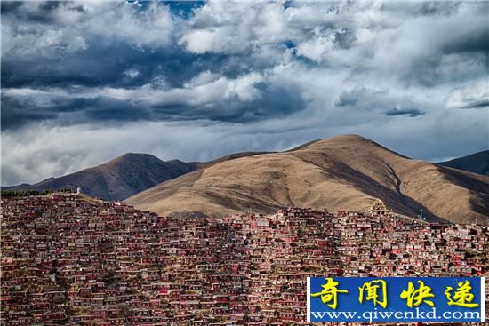 视觉盛宴:索尼摄影大赛入围作品(四)
