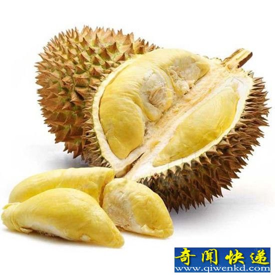 “水果之王”榴莲,居然是这样生长的
