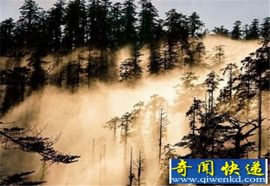 中国十大最恐怖禁地:进去以后必死无疑!