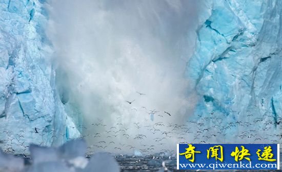美呆了!挪威冰川崩塌瞬间 万鸟从冰洞飞出