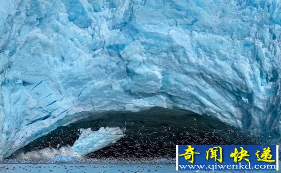 美呆了!挪威冰川崩塌瞬间 万鸟从冰洞飞出