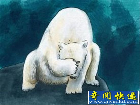 2016年人类可能要被热死:2月份北极熊被热哭