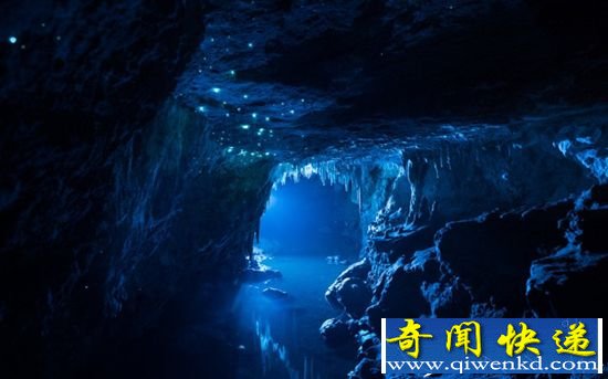 新西兰美丽溶洞 萤火虫织就绚丽星空