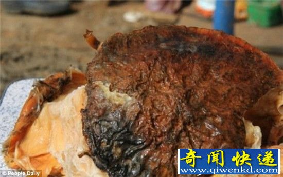 男子山沟里发现神秘物体 竟是秦始皇苦苦寻找的不老药