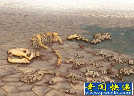 地球毁灭生物灭绝或50年内到来 末日不再遥远
