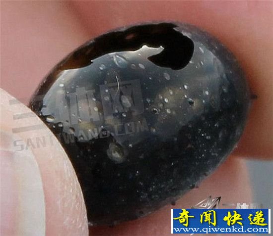 夏威夷出现神秘巨响 天降奇怪卵形东西