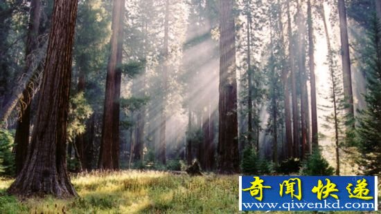 黄石公园成最美公园 走进:美国十大国家级公园