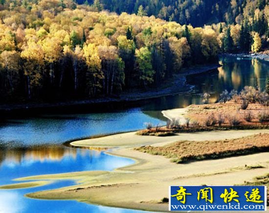 新疆美图:喀纳斯卧龙湾迷人的河湾风光