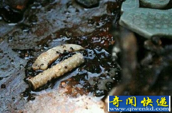 古代陵墓八大险恶机关 墓主与盗墓贼的对决