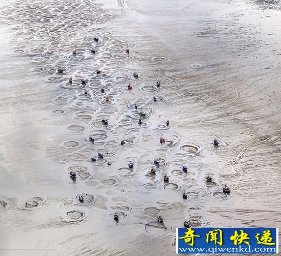 航拍渔船“画”圈 渔民搅拌海床捕获鸟蛤