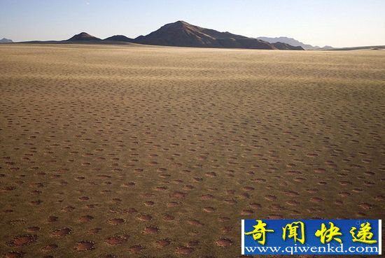 非洲荒漠惊现神秘精灵怪圈 疑似UFO降落点