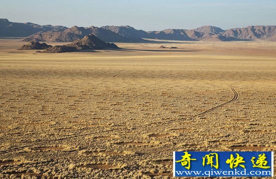 非洲荒漠惊现神秘精灵怪圈 疑似UFO降落点