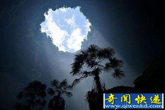 喀斯特天坑:一个独特生态系统的天堂