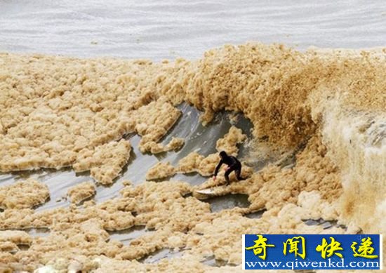新西兰海岸 出现大量"泡沫海浪"