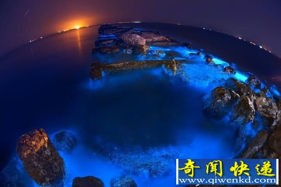 山东东营夜晚海水泛蓝色 聚集发光微生物