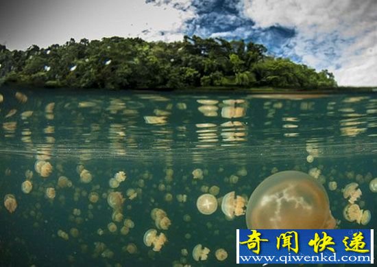 神奇地球!盘点:地球上最奇异湖泊