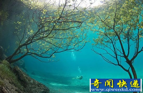 实拍:奥地利绿湖天然水下公园 如梦似幻