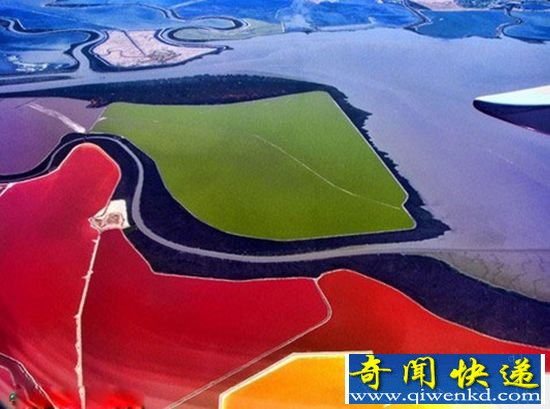 惊叹!旧金山湾色彩斑斓的人造盐池