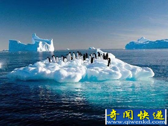 南极大陆冰川深处发现罕见1400万年前新物种