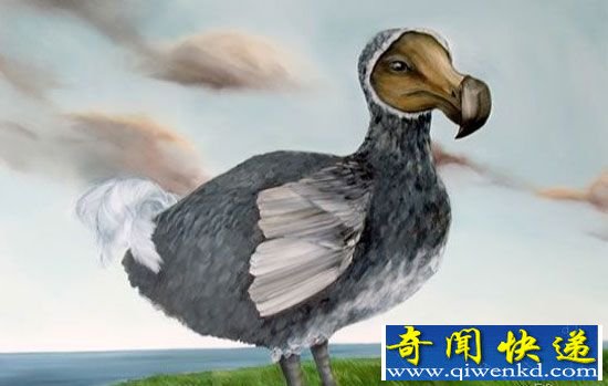 复活24种濒危物种 恐龙不在列