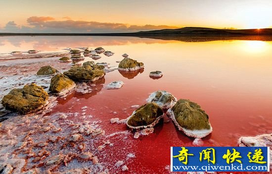 克里米亚粉色盐湖 绝美景色如火星奇境(组图)