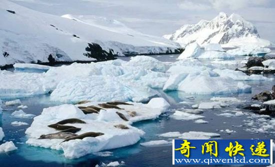 美国遭遇数十年罕见极寒天气 或因极地漩涡南下