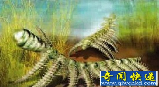 �������Ⱦ��ǹŴ����ֹ� �ҿ�������Դа������