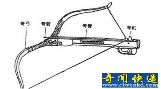 ��ʼ����ʮ�������ţ����۸�ʬ����ð�ƻ�?