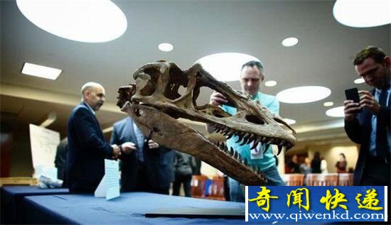 美国归还蒙古国六种恐龙化石 恐龙化石研究揭秘