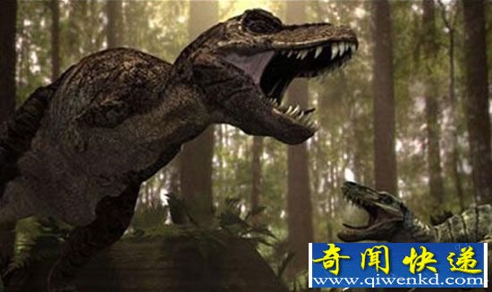 �ڶ��������������������������������ԩ