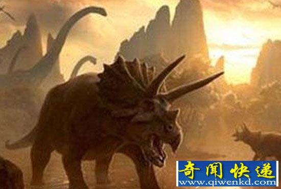 �ڶ��������������������������������ԩ