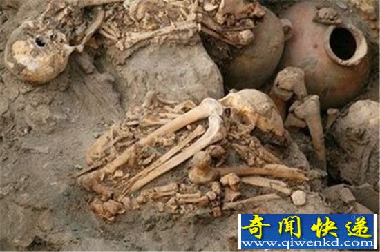 ����ѧ�ҷ���Ů��Ѫ��ʬ�� ����ש���������