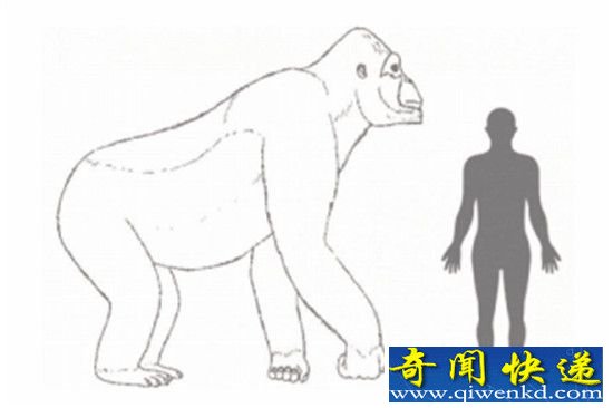ʮǰԶžԳǨ