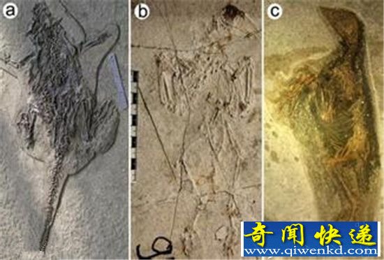 ����ʱ��������ַ����ɽ���ڸ�Զ�Ŷ���ʬ��