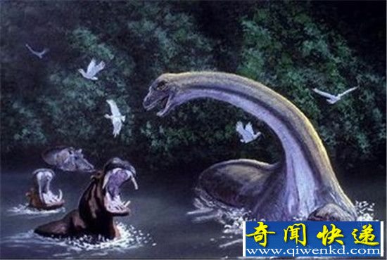 恐龙还未灭绝 世界上仍有恐龙的存在
