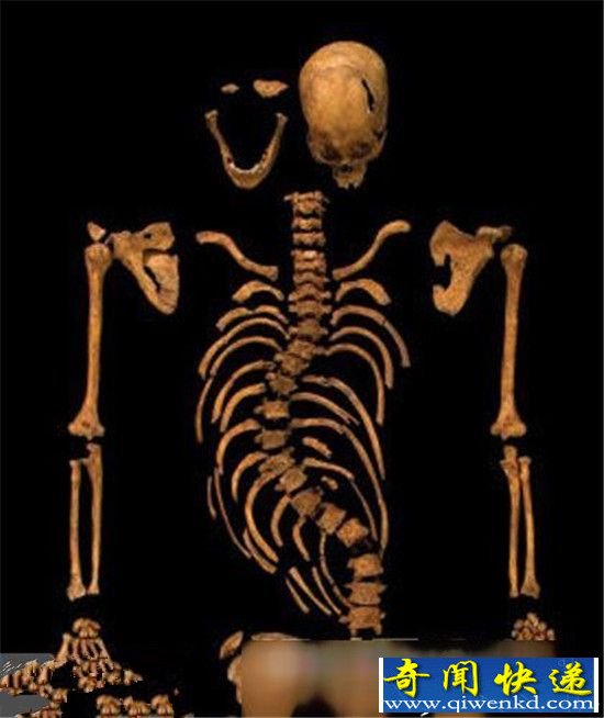 �̵㣡ʮ���������͵Ŀ��ŷ���