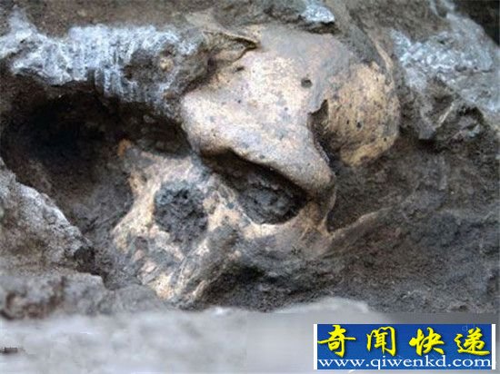 �̵㣡ʮ���������͵Ŀ��ŷ���