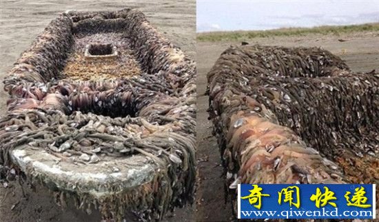 ձ֡鴬 дʬ壡