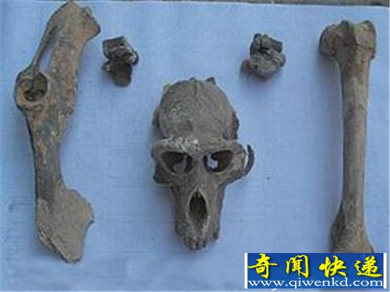 千年古墓蓝色骸骨之谜 千年古墓走出活女尸