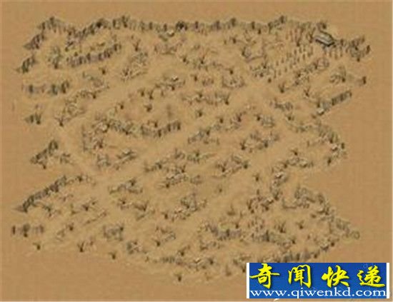 盗墓祖师爷曾入秦始皇陵 看到这个扭头就走