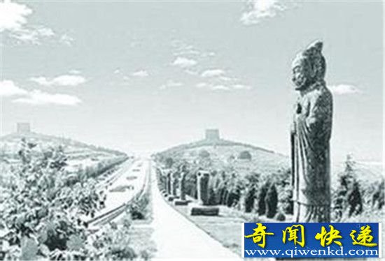 ������Ĺ����ϴ�� ��Ĺ������������ʬ�����