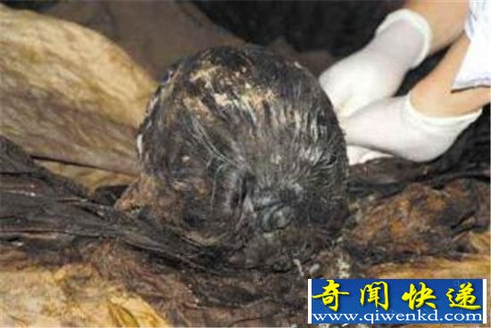 ����ǧ���Ĺ�ڳ���Ů�� ��ѧ���Ǳ��Ż���!